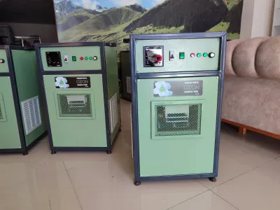 Ozone Generator
